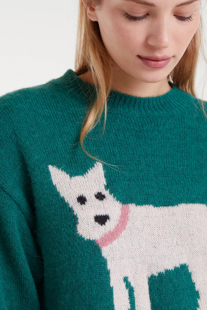 Maglione jacquard con stampa cane
